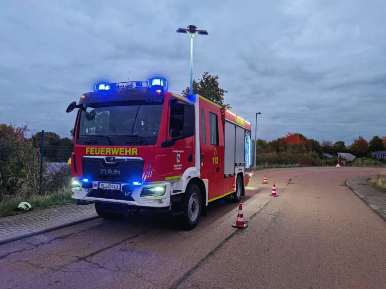 PXL_20251010_163613693~2